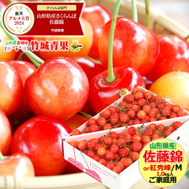 ＼★大感謝祭!!20%OFFクーポン配布中★／クール便出荷！ 即日発送実施中！ 山形県産 ご家庭用 さくらんぼ 佐藤錦or紅秀峰(露地/Mサイズ/1kg/ばら詰め)※日時指定はメールで※【露地 露地物 訳あり わけあり サクランボ 果物 フルーツ 人気 売れ筋 山形県 自宅用】