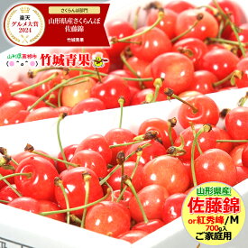 ＼★大感謝祭!!20%OFFクーポン配布中★／クール便出荷！ 即日発送実施中！ 山形県産 ご家庭用 さくらんぼ 佐藤錦or紅秀峰(露地/Mサイズ/700g/ばら詰め)※日時指定はメールで※【露地 露地物 訳あり わけあり サクランボ 果物 フルーツ 人気 売れ筋 山形県 自宅用】