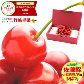 ＼★大感謝祭!!20%OFFクーポン配布中★／クール便出荷！ 山形県産 さくらんぼ 佐藤錦or紅秀峰(露地/秀品/Mサイズ/500g/ばら詰め)※日時指定はメールで※【2025 お中元 暑中見舞い 残暑見舞い 夏 プレゼント 果物 フルーツ ギフト 贈り物 贈答品 人気 売れ筋】