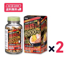 【2個セット】防風通聖散料エキス錠 450錠 至聖（しせい） 6000mg 満量処方 北日本製薬【第2類医薬品】