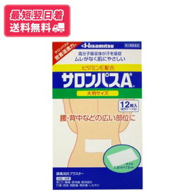 【第3類医薬品】【送料無料】サロンパスAe大判 12枚 【クリックポスト】