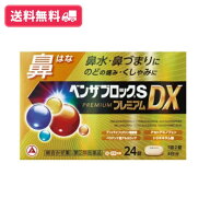 【送料無料】ベンザブロックS プレミアムDX 24錠 鼻 鼻水 鼻づまりに のどの痛み・くしゃみに【指定第2類…