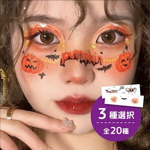 yŒZzy3Zbgz킢CXg̃nEB^gD[V[ 3ZbgCNV[ XebJ[ ڂ  qɂg܂ w pvL   tFCX 