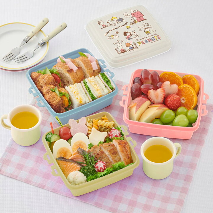 楽天市場】\今ならクーポン有/お弁当箱 ピクニック 送料無料 ...