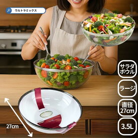 Mozaik モザイク ラージ サラダボール クリア シルバーリム 27cm 業務用 サラダ ボウル 店舗 パーティ 二次会 ケータリング 食器 使い捨て 軽い プラスチック サラダ おしゃれ パーティ ホームパーティ 行楽 運動会 ピクニック 女子会