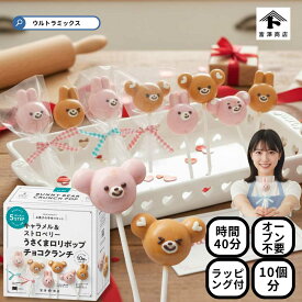 バレンタイン 手作り キット 人気 うさくま ロリポップ チョコクランチ 10個分 ロリポップ くま うさぎ ラッピング付 バレンタインデー バレンタイン 友チョコ 簡単 バレンタイン 手作り 製菓 手作り キット 富沢商店 手作りお菓子 sv