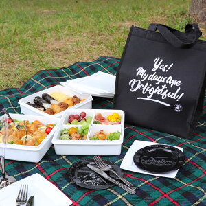 ピクニックお弁当 保冷など 便利な家族用ランチボックスの通販おすすめランキング ベストオイシー
