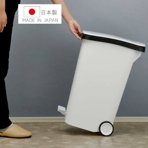 X[X y__Xg{bNX31L ԗ֕t zCg J RSD-621WH S~ ݂΂ 31bg  X LX^[t Jy_t