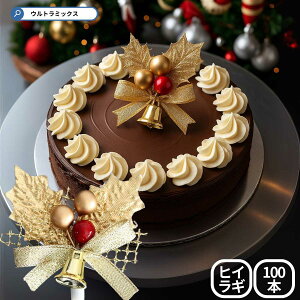 Ђ炬 A NX}X v~A P[LsbN S[h[t C[ { 60×60mm 100{Zbg  {  qCM P[Lp  v~A Ɩp 