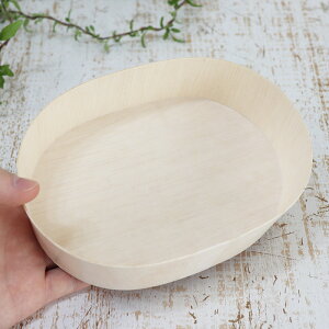 ؐ  e t@J^ GREbh FLR-06B ȉ~^ 170×120×45h 300Zbg Ɩp e pbP[W ٓ ܔ  炵i `[YP[L 