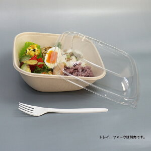 oKX Đe X[v^pvep 18cmpp PET W 190×190×40 300Zbg iTgELr̍JXĐꂽ͔\ȃpvjƖp e i[J[ij