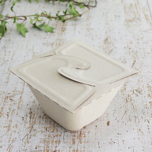 oKX Đe bNtXNGApve 16IXi450mlj123×123×74 300Zbg iTgELr̍JXĐꂽ͔\ȃpvjƖp e i[J[ij