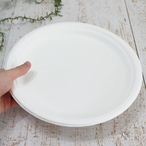 oKX Đe oKX[hv[g 10C` a260×21h 700Zbg iTgELr̍JXĐꂽ͔\ȃpvjƖp e i[J[ij