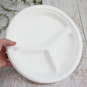 oKX Đe oKX[hO؂v[g 10C` a260×26h 700Zbg iTgELr̍JXĐꂽ͔\ȃpvjƖp e i[J[ij