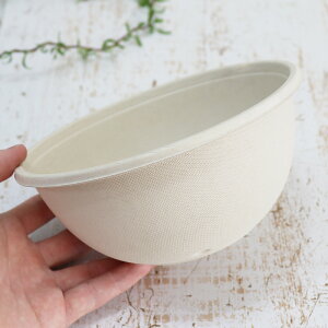 oKX Đe pv[h{Ei1000mlj a168×76h 300Zbg iTgELr̍JXĐꂽ͔\ȃpvjƖp e i[J[ij