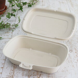 oKX Đe pvqWRei L i680mlj226×166×52 300Zbg iTgELr̍JXĐꂽ͔\ȃpvjƖp e i[J[ij