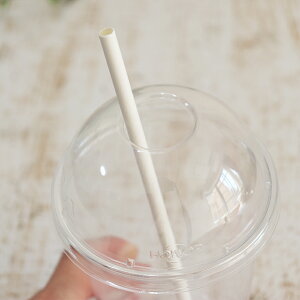 Xg[  zCg 10,000{i500×20j Zbg q  f eCNAEg fo[ JtF  GR ɂ₳ Xg[ Ɩp e