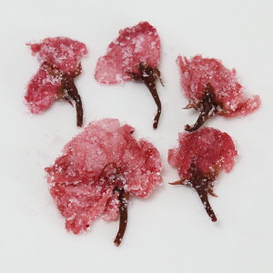̉ Ђ  4.4kg ԒЁiԁj  10mm (220g×10×2j  ̉  Ђ Â Ɩp e ܂Ƃߔ  ޗ aَq _HiH