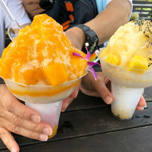 業務用かき氷用プラカップ Lサイズ 540cc 聖火カップ クリア(透明)300個セット【 メーカー直送 】 花型 業務用使い捨て食器 うつわ お祭り 氷カップ 学園祭 文化祭 こども祭り 盆祭り 大容量