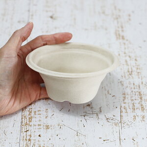 sabert oKX Đe SBT-8oz pv[hX[vJbv 1000ZbgiTgELr̍JXĐꂽ͔\ȃpvjƖp e i[J[ij