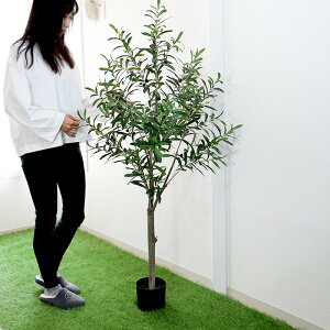 �t�F�C�N�O���[�� �l�H�ϗt�A�� �I���[�u�̖� ����152cm �O���[�� �ϗt�A�� ���� ��^ �C���e���A �X�� �V���b�v ������� �V���E���[��