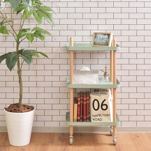 Lb`S3i ki` W50.5×D35.5×H98 X`[ zCg O[ VR LX^[t RpNg X