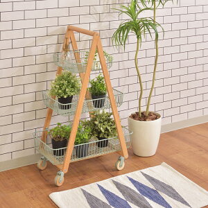 Lb`S3i JS ki` W55×D35.5×H86.5 oXPbg JSS zCg O[ VR LX^[t RpNg X