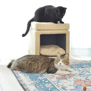 スツール型ペットハウス 猫 ハウス キャットハウス ペットスツール クッション付き 脚付き 天然木 ペットハウス 猫 ベッド ネコ Cat ねこ 家 ハウス 椅子 イス チェア