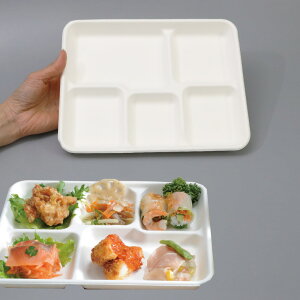 oKX Đe SBT pv[h rbtFgC ij a210x260 300ZbgiTgELr̍JXĐꂽ͔\ȃpvjƖp e i[J[ij