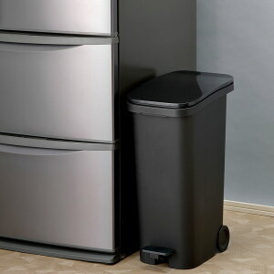 X[X y__Xg{bNX31 ubN  30L 31L S~   ͂ ݔ S~ ݂΂ LX^[t LX^[ _p[t