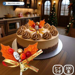 Ђ炬 A NX}X v~A P[LsbN 2t uE[t S[hx S[h{ 60×h70mm 100{Zbg  {  qCM P[Lp  v~A Ɩp 