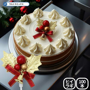 Ђ炬 A NX}X v~A P[LsbN S[h[t x 60×60mm 100{Zbg  {  qCM P[Lp  v~A Ɩp 