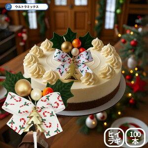 Ђ炬 A NX}X v~A P[LsbN 2t S[hc[`[t |bv{ 60×h60mm 100{Zbg  {  qCM P[Lp  v~A Ɩp 