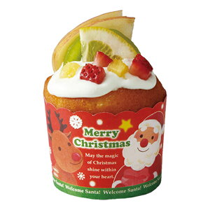 NX}X ybg}tBJbv ybg}tBiEGJT^j100Zbg a59×50 XM801 NX}X Xmas ybg JbvP[L ϔM ϖ Jbv