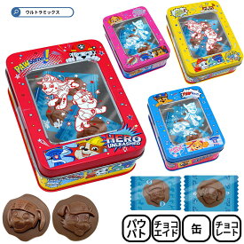 パウ・パトロール ウィンドウスクエアティン チョコ缶 パウパトロール バレンタイン チョコ お菓子 詰め合わせ パウパト 缶 ティン 子供会 プレゼント ギフト バレンタインデー ホワイトデー