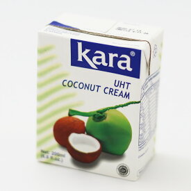 Kara カラ ココナッツクリーム　UHT 200ml kara カラ 脂肪分 24％ 紙パック ブリックパック
