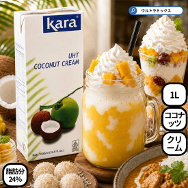 ココナッツクリーム ココナッツミルク 業務用 1000ml 1L Kara カラ UHT 脂肪分24% 紙パック ブリックパック 大容量 濃厚 エスニック タイ料理 カレー グリーンカレー スイーツ デザート 製菓材料 パン作り ケーキ お菓子作り 植物性 食材 調味料