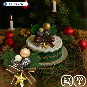 Ђ炬 A NX}X v~A P[LsbN 2t O[[t C{^`[ 60×h60mm 100{Zbg  {  qCM P[Lp  v~A Ɩp 