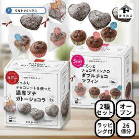バレンタイン 手作り キット 人気 手作りお菓子 材料キット 2個 セット 濃厚プチガトーショコラ ＆ ごろっとチョコチャンクのダブルチョコマフィン セット 簡単 ラッピング付き バレンタインデー バレンタイン 友チョコ 簡単 富沢商店 sv