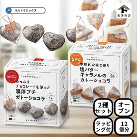 バレンタイン 手作り キット 人気 手作りお菓子 材料キット 2個 セット 濃厚プチガトーショコラ ＆ 塩バターキャラメルのガトーショコラ セット 簡単 ラッピング付き バレンタインデー バレンタイン 友チョコ 簡単 バレンタイン 手作り 富沢商店