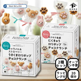 ★500円クーポン有★ 'バレンタイン 手作り キット 人気 手作りお菓子 材料キット 2個 セット 2色のうさくまチョコロリポップ ＆ 2色のにくきゅうチョコロリポップ セット 簡単 ラッピング付き バレンタインデー 友チョコ 簡単 バレンタイン 富沢商店 sv