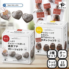 ★500円クーポン有★ 'バレンタイン 手作り キット 人気 手作りお菓子 材料キット 2個 セット 濃厚プチガトーショコラ ＆ カヌレショコラ セット 簡単 ラッピング付き バレンタインデー バレンタイン 友チョコ 簡単 バレンタイン 手作り 富沢商店
