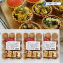 パイタルト 小PT-3（12個入）× 3袋 タルトカップ リボン食品 チョコタルト用タルト クッキー タルト型 型 菓子材料 …