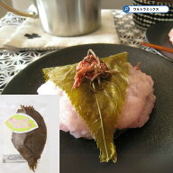 さくらの葉 桜の葉 (塩漬け)（10枚） 製菓材料 パイオニア企画 季節限定商品 製菓材料 桜餅 桜もち 和菓…