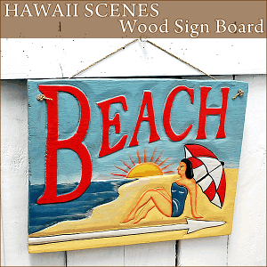 nCAG݁@nCAEbhTC{[hwBEACHxnCAG݁yEQzHawaii nCG nCA