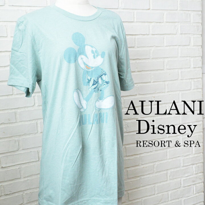 楽天市場】HAWAII AULANI DISNEYハワイ アウラニ・ディズニー メンズT 