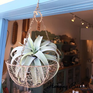 yGAvczyvcnK[zyCeAG݁znMOoXPbgynK[z