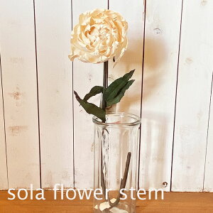 sola flower \t[@\Xe@t[AWg@CeA@Xe@LxbWsIj[ v[g@Mtg