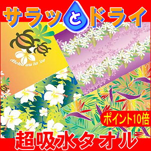 |Cg10{ [  ^I TbƃhC NEWnCAtFCX^I Hawaii nC HAWAIIAN nCA G nCAG