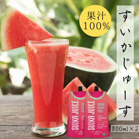 【賞味期限切れ】 コストコ スイカジュース (800ml×2本) 送料無料 果汁100%ジュース ストレートジュース